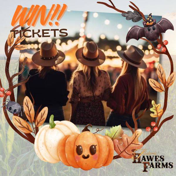 Win Fall Festival Tickets