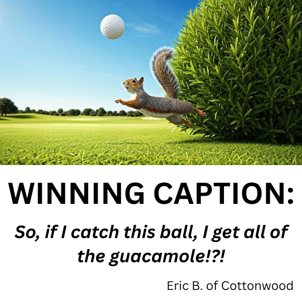 Hole-y Guacamole Vote